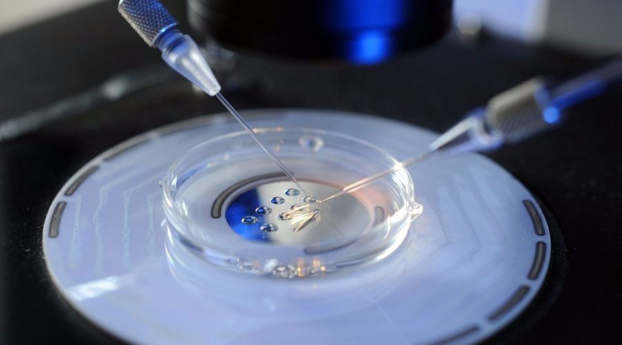 三代试管胚胎一次移植成功概率怎么样？高吗